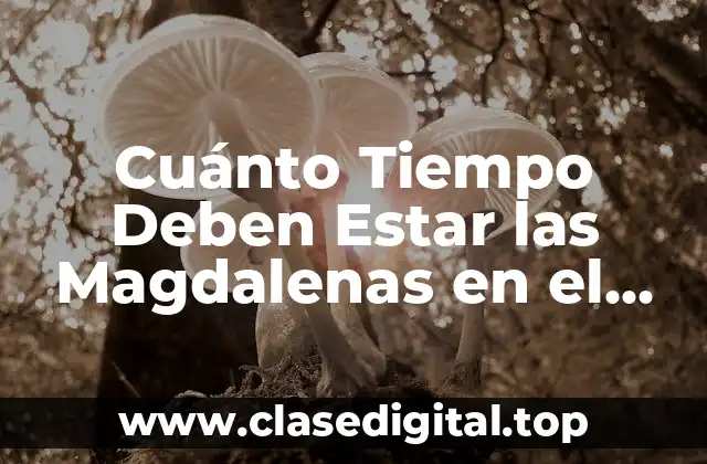 Cuánto Tiempo Deben Estar las Magdalenas en el Horno para Obtener el Resultado Perfecto