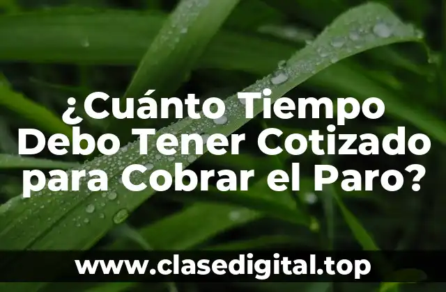 ¿Cuánto Tiempo Debo Tener Cotizado para Cobrar el Paro?