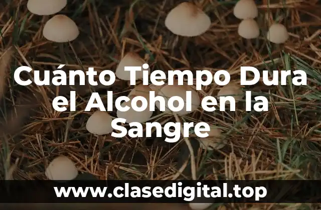 Cuánto Tiempo Dura el Alcohol en la Sangre