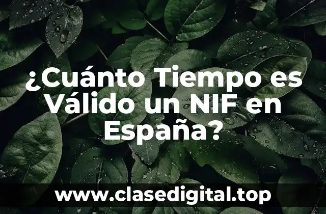 ¿Cuánto Tiempo es Válido un NIF en España?