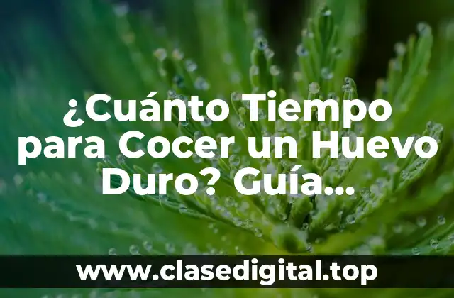 ¿Cuánto Tiempo para Cocer un Huevo Duro? Guía Completa para Cocinar Huevos Perfectos