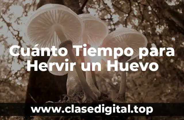 Cuánto Tiempo para Hervir un Huevo