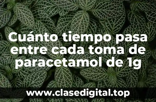 Cuánto tiempo pasa entre cada toma de paracetamol de 1g