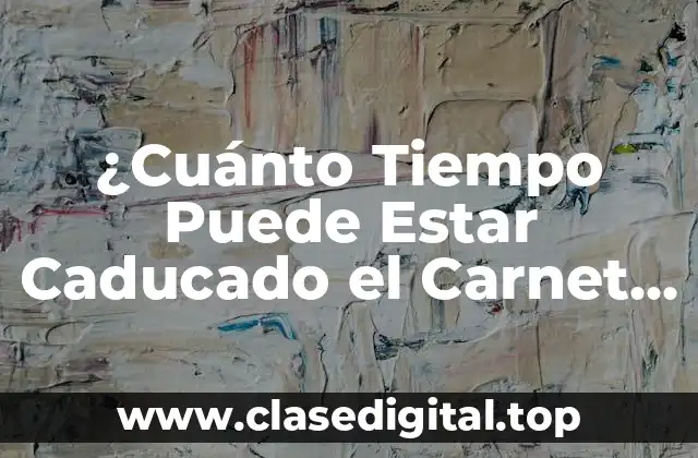 ¿Cuánto Tiempo Puede Estar Caducado el Carnet de Conducir?