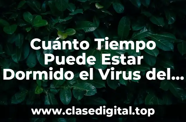 Cuánto Tiempo Puede Estar Dormido el Virus del Papiloma Humano (VPH)