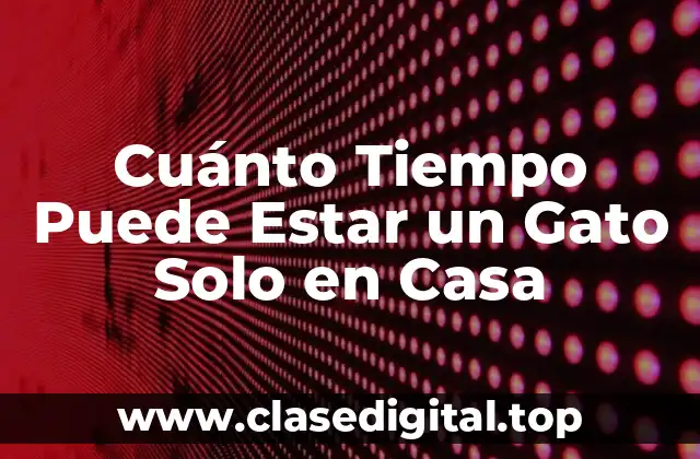 Cuánto Tiempo Puede Estar un Gato Solo en Casa