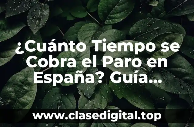 ¿Cuánto Tiempo se Cobra el Paro en España? Guía Completa