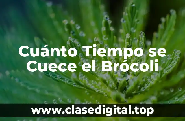 Cuánto Tiempo se Cuece el Brócoli