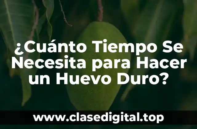 La Física detrás de la Cocción de Huevos: ¿Cómo se Cocinan los Huevos?