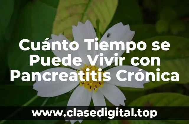 Cuánto Tiempo se Puede Vivir con Pancreatitis Crónica