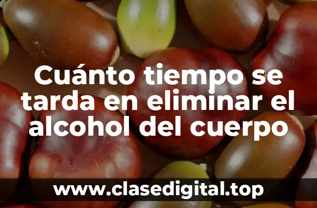 Cuánto tiempo se tarda en eliminar el alcohol del cuerpo