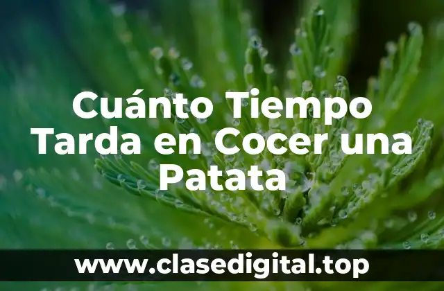 Cuánto Tiempo Tarda en Cocer una Patata