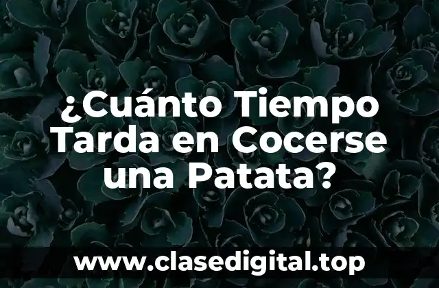 ¿Cuánto Tiempo Tarda en Cocerse una Patata?