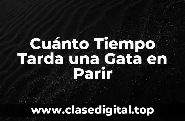 Cuánto Tiempo Tarda una Gata en Parir