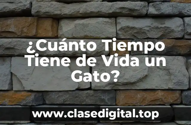 ¿Cuánto Tiempo Tiene de Vida un Gato?