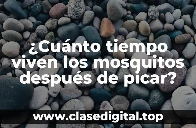 El ciclo de vida de los mosquitos