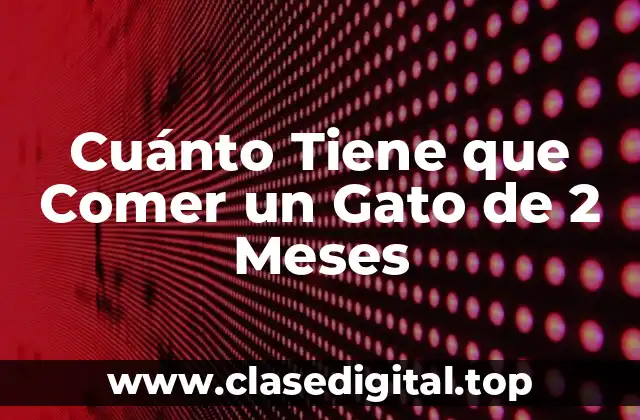 Cuánto Tiene que Comer un Gato de 2 Meses