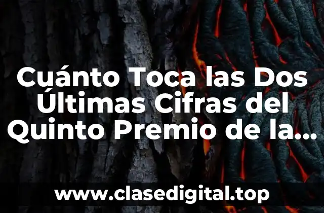 ¿Qué es el Quinto Premio de la Lotería?