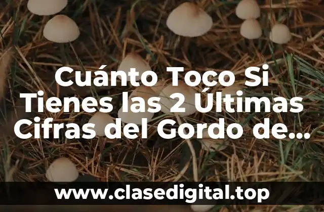 Cuánto Toco Si Tienes las 2 Últimas Cifras del Gordo de la Primitiva