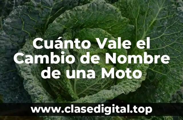 Cuánto Vale el Cambio de Nombre de una Moto