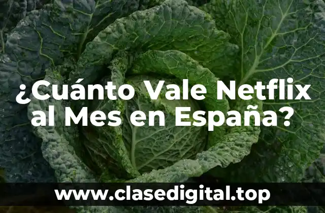 ¿Cuánto Vale Netflix al Mes en España?
