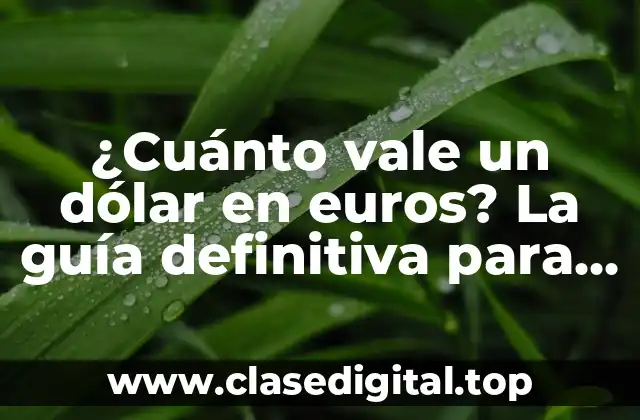¿Cuánto vale un dólar en euros? La guía definitiva para comprender el tipo de cambio