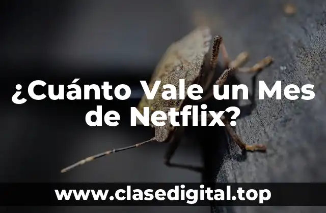 ¿Cuánto Vale un Mes de Netflix?
