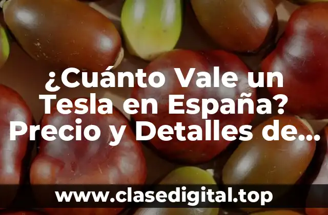 ¿Cuánto Vale un Tesla en España? Precio y Detalles de los Modelos