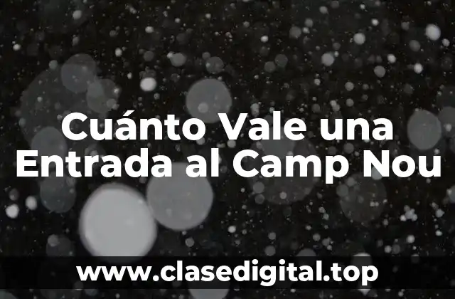 Cuánto Vale una Entrada al Camp Nou