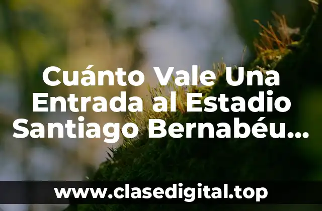 Cuánto Vale Una Entrada al Estadio Santiago Bernabéu para Un Partido del Real Madrid