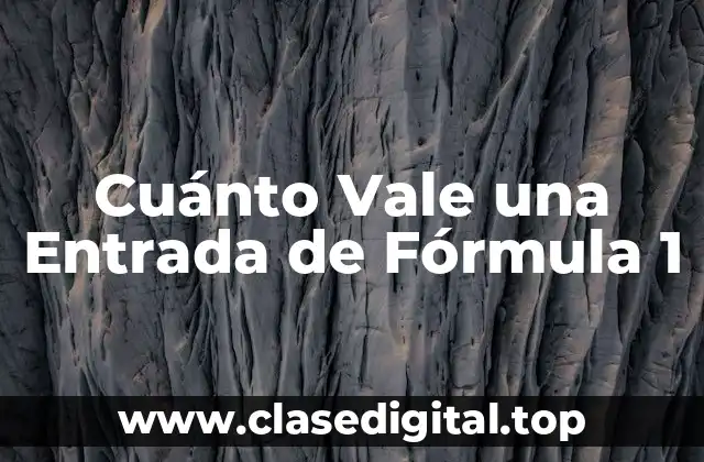 Tipos de Entradas de Fórmula 1