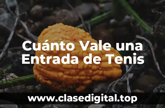 Cuánto Cuesta una Entrada de Tenis en los Torneos Grand Slam