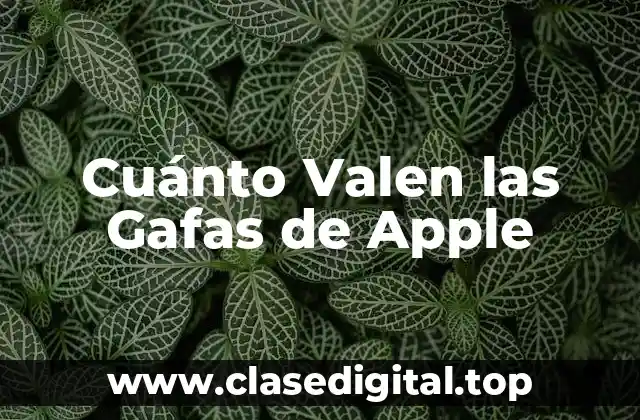 Cuánto Valen las Gafas de Apple