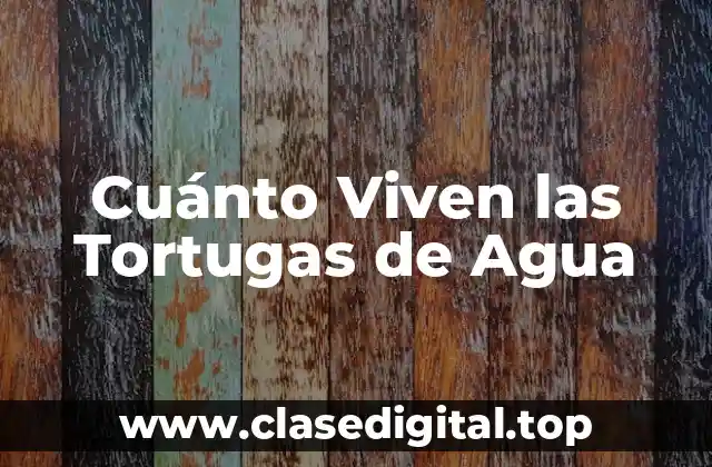 Cuánto Viven las Tortugas de Agua