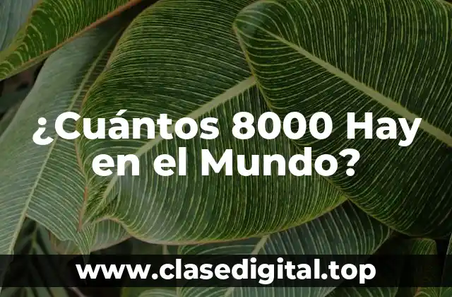 ¿Cuántos 8000 Hay en el Mundo?