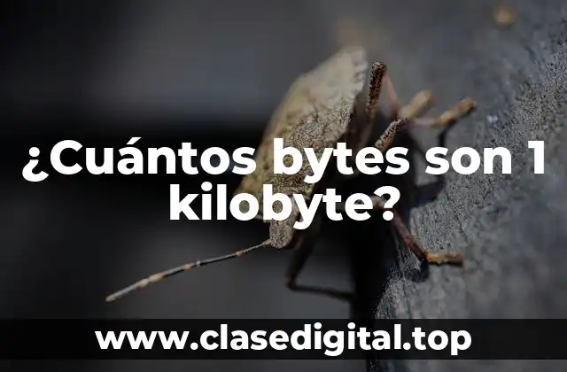 ¿Cuántos bytes son 1 kilobyte?