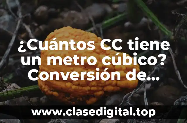¿Cuántos CC tiene un metro cúbico? Conversión de unidades de volumen