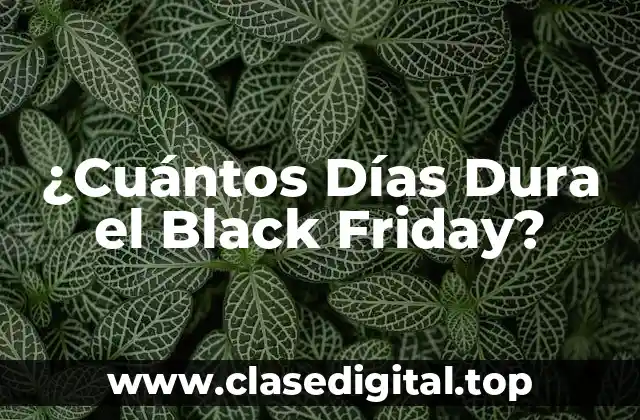 ¿Cuántos Días Dura el Black Friday?