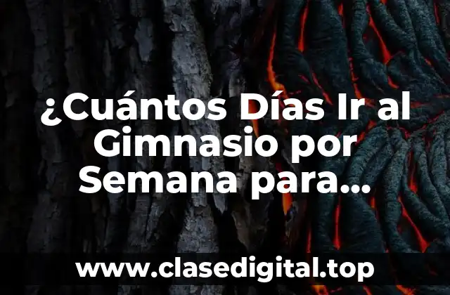 La Importancia de la Frecuencia de Entrenamiento