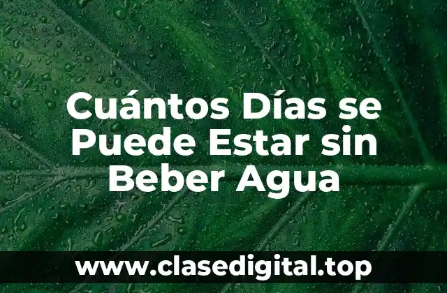 Cuántos Días se Puede Estar sin Beber Agua