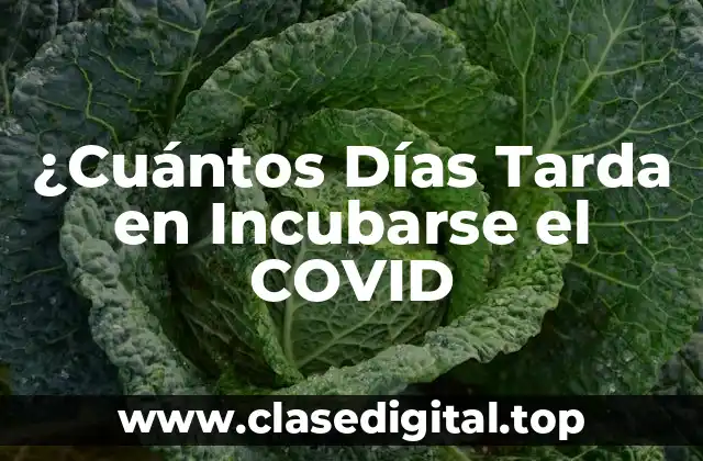 ¿Cuántos Días Tarda en Incubarse el COVID
