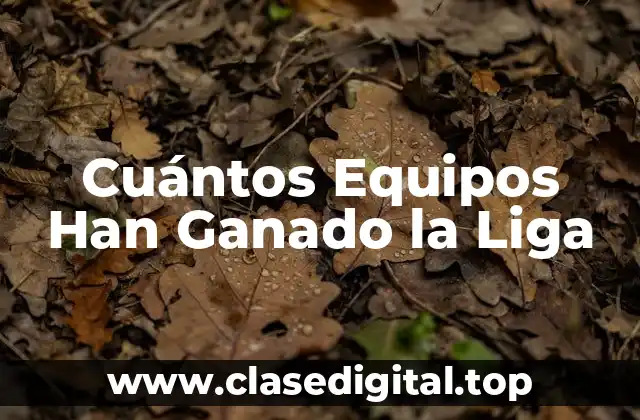 Cuántos Equipos Han Ganado la Liga