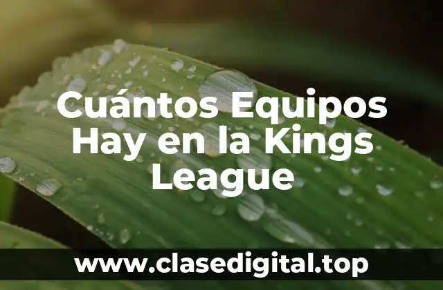 Cuántos Equipos Hay en la Kings League