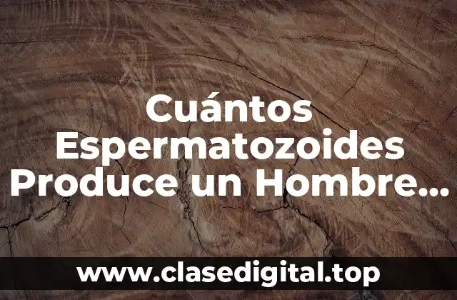 Cuántos Espermatozoides Produce un Hombre al Día