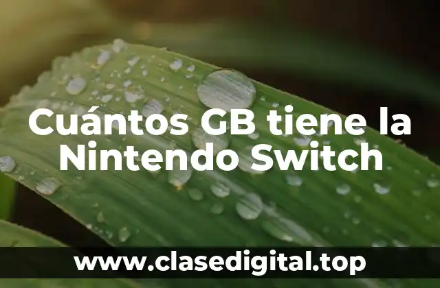 Cuántos GB tiene la Nintendo Switch