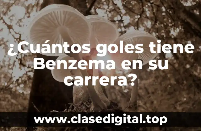 ¿Cuántos goles tiene Benzema en su carrera?