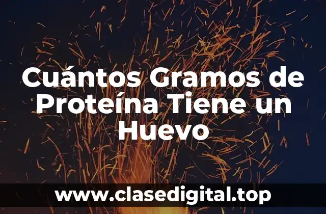 Cuántos Gramos de Proteína Tiene un Huevo