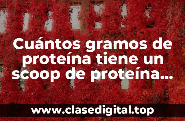 Cuántos gramos de proteína tiene un scoop de proteína en polvo