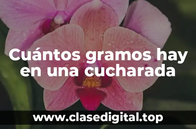 La Importancia de la Medición Exacta en la Cocina