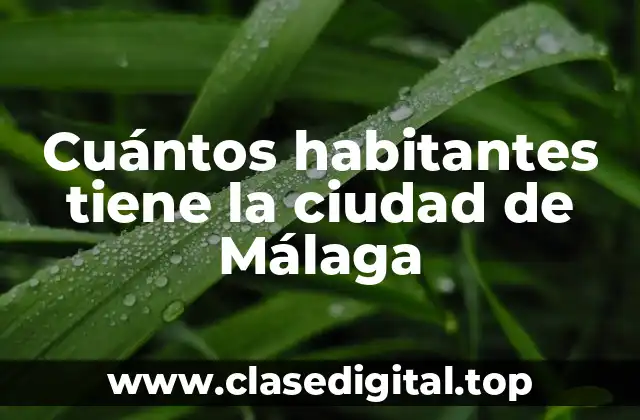 La población de Málaga en la actualidad